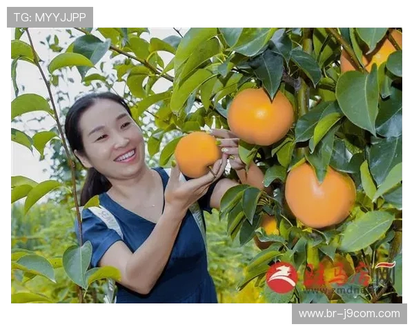 正阳县永兴镇足球场周边设施与发展潜力分析